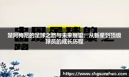 pp电子(中国)责任公司官网